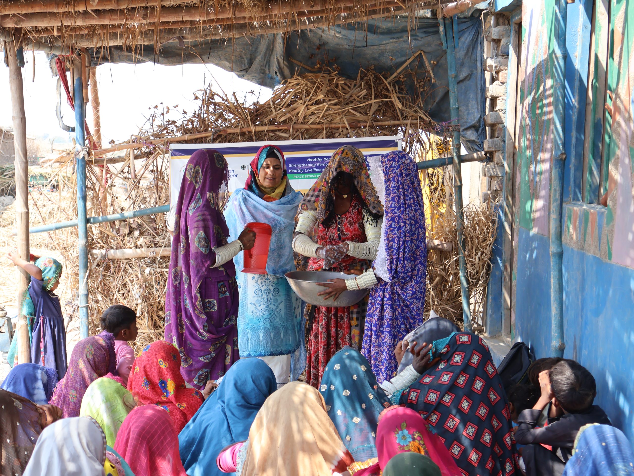 PVDP Sindh
